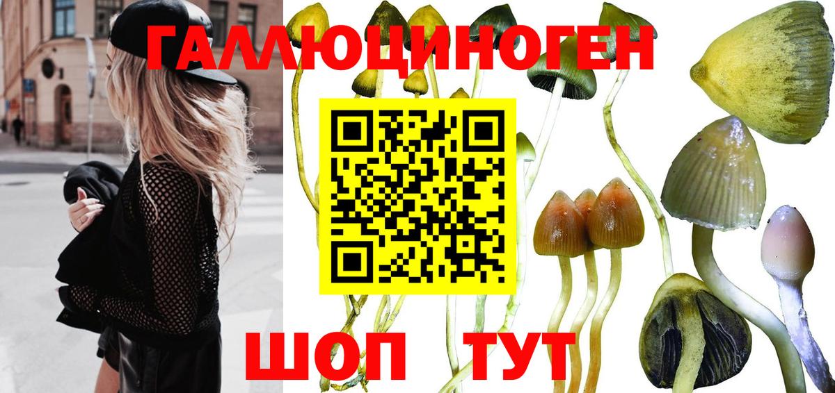 Галлюциногенные грибы прущие грибы Майский